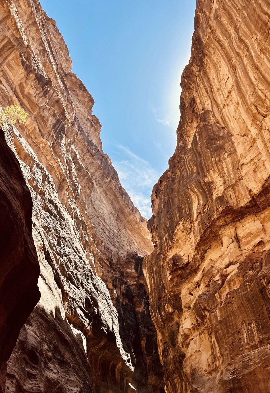 Fotografia da matéria: A Magia de Petra