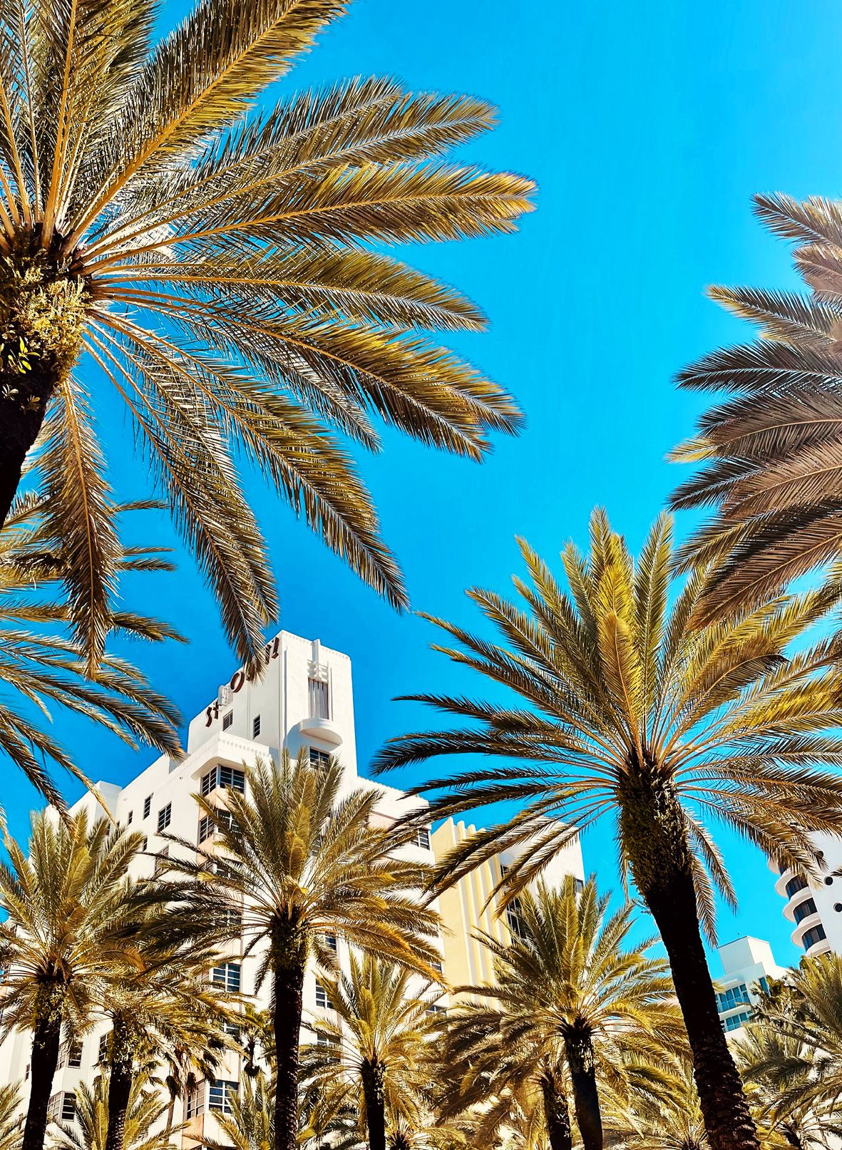Fotografia da matéria: As cores de Miami