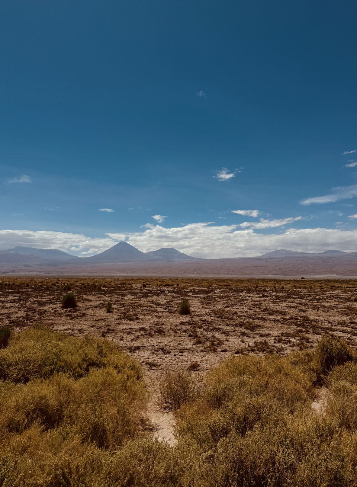 Fotografia da matéria: Atacama, Lindo!