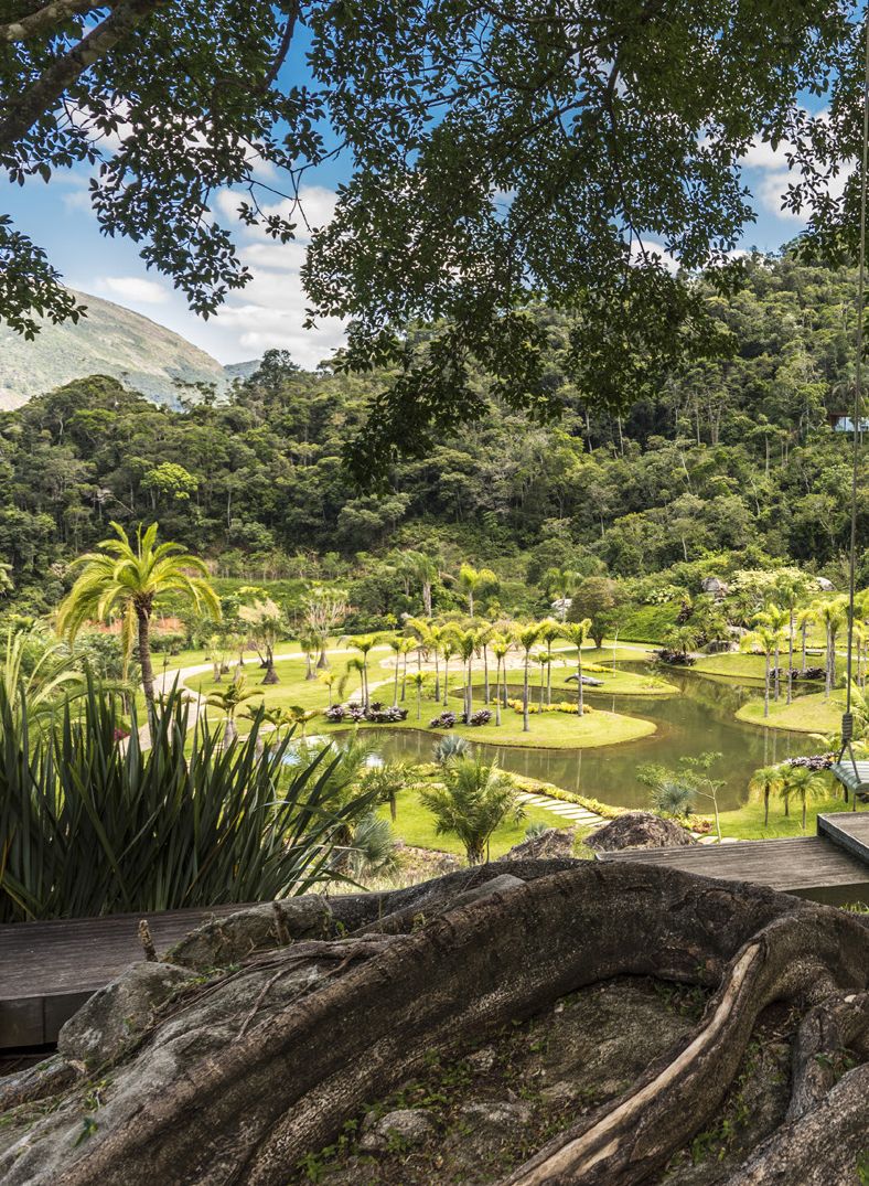 Fotografia da matéria: Das Naturezas