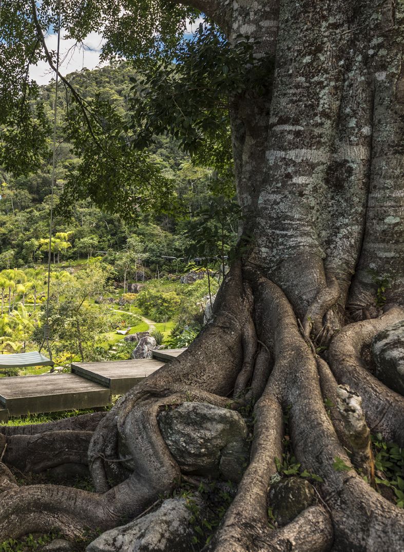 Fotografia da matéria: Das Naturezas