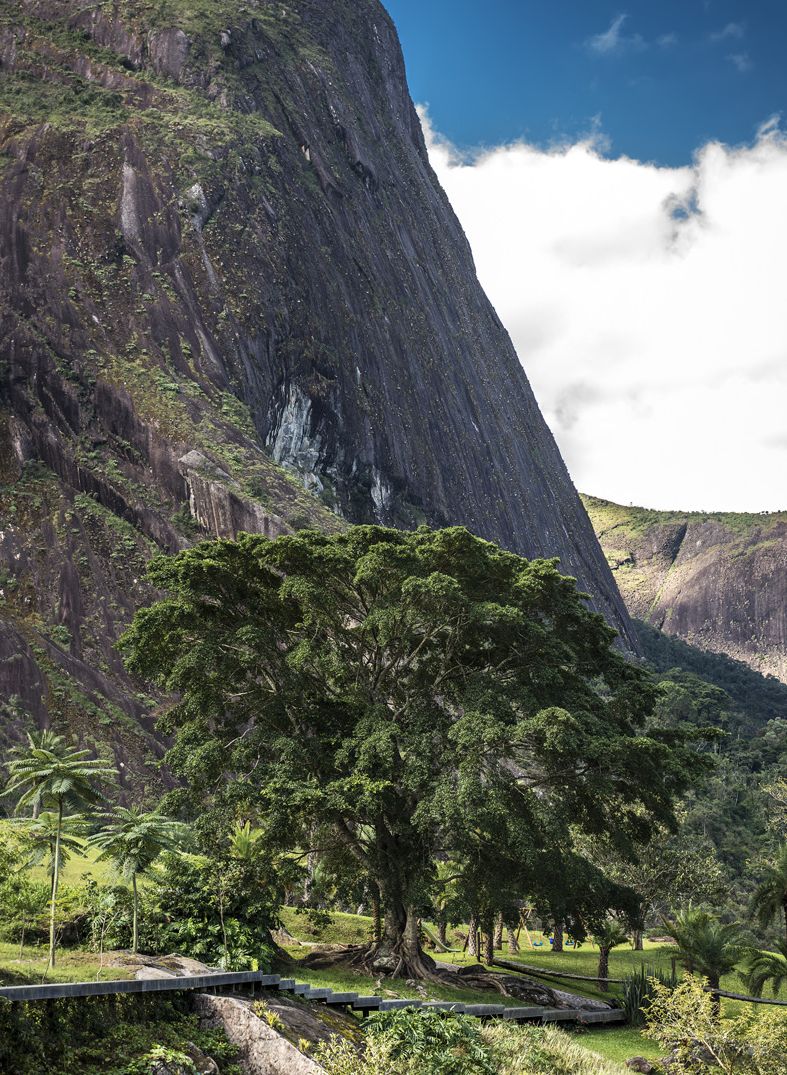 Fotografia da matéria: Das Naturezas
