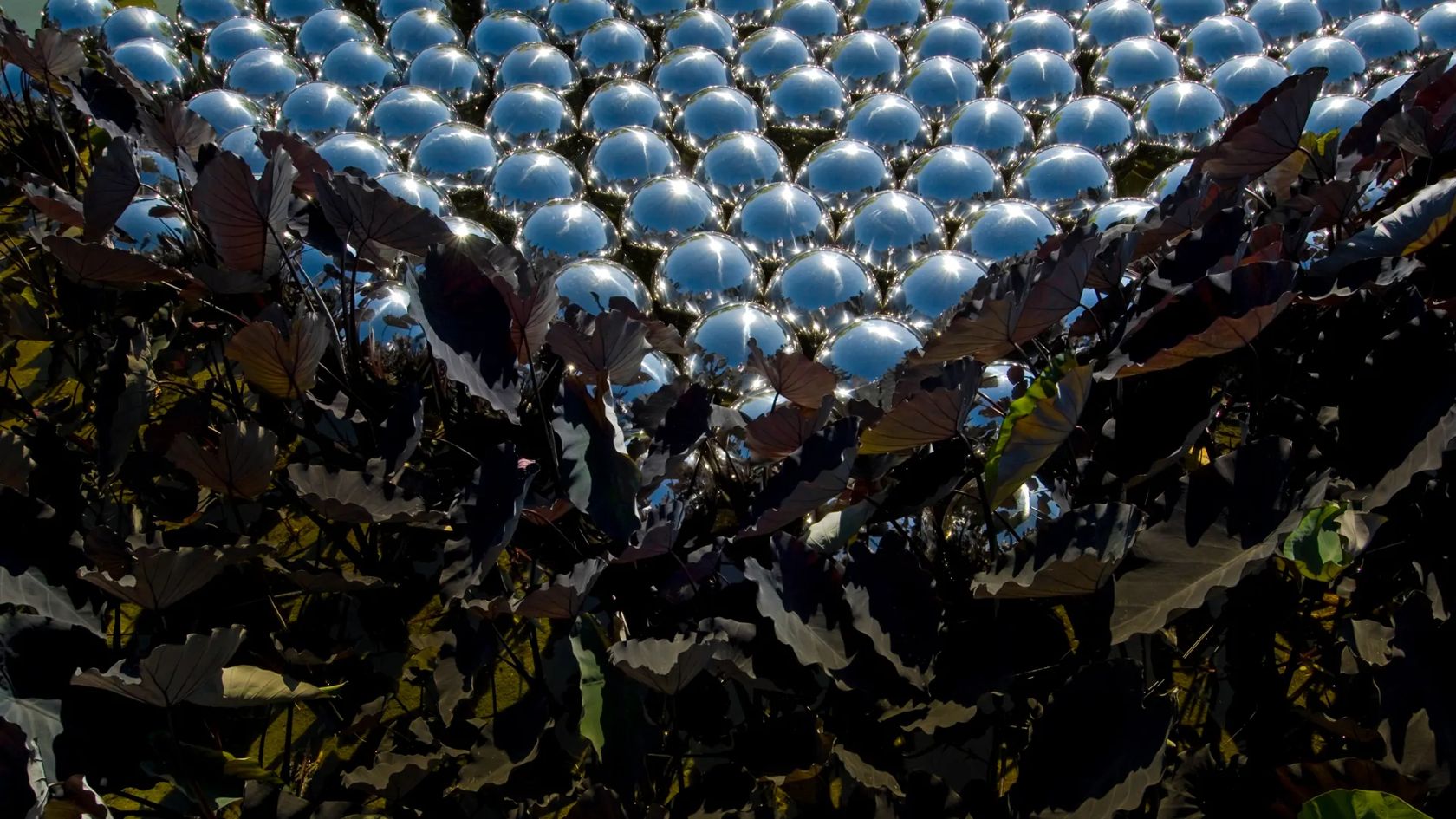 Narcissus Garden, de Yayoi Kusama, com esferas espelhadas no Inhotim