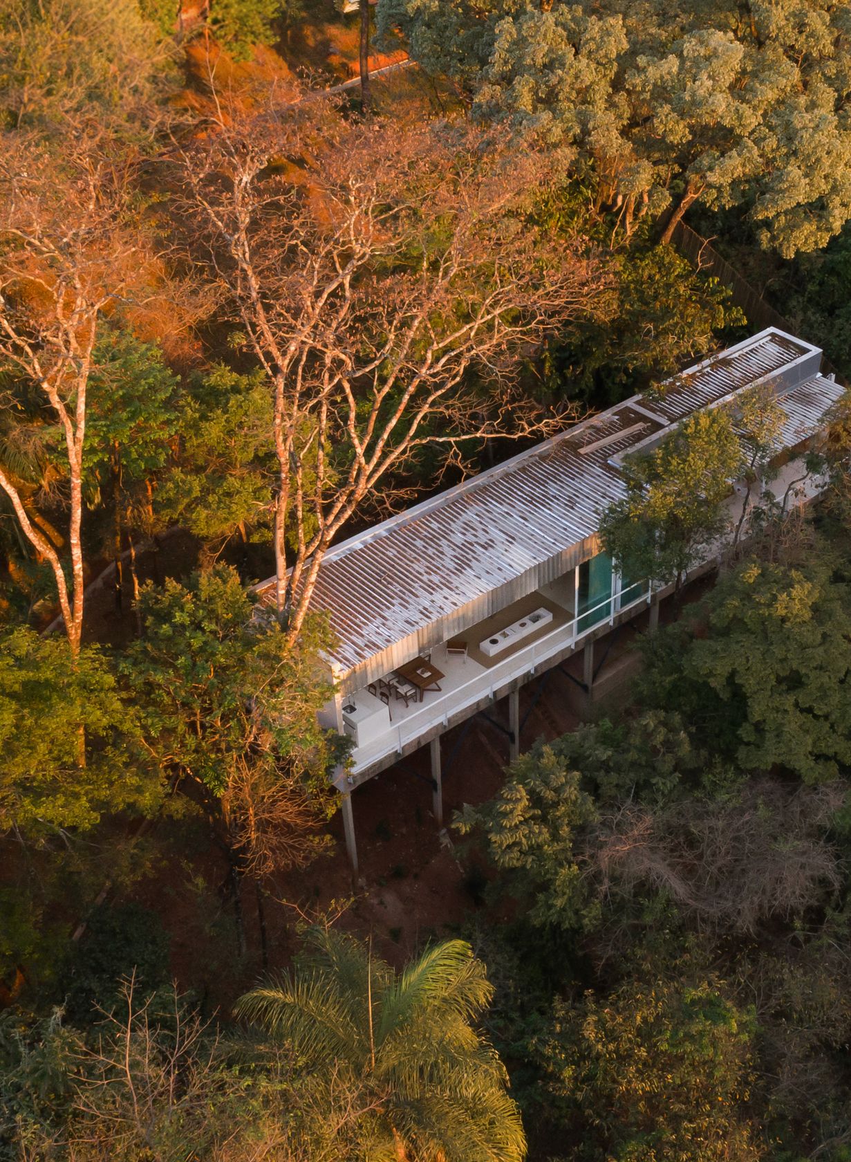 Fotografia da matéria: Em Meio à Natureza