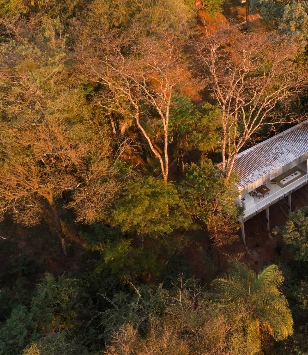 Em Meio à Natureza