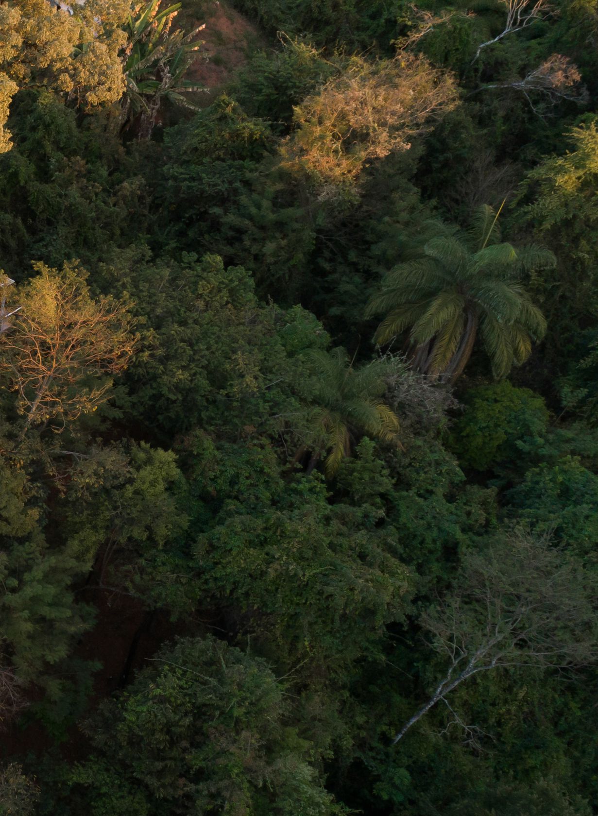 Fotografia da matéria: Em Meio à Natureza