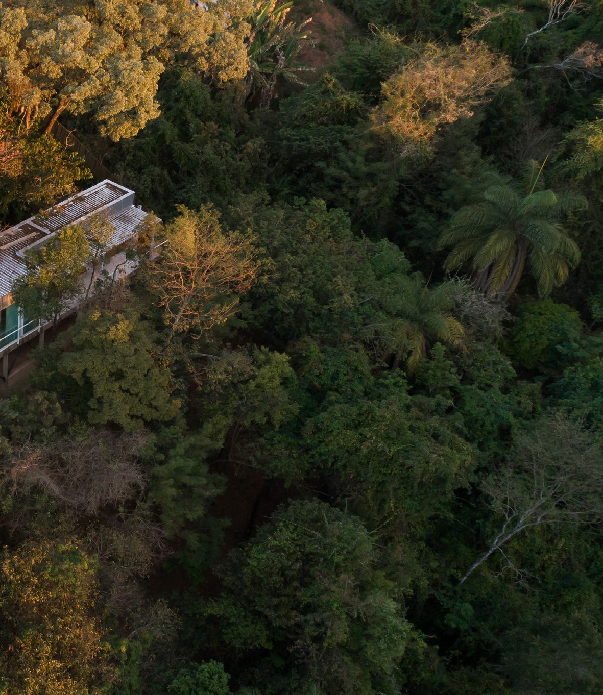 Fotografia da matéria: Em Meio à Natureza