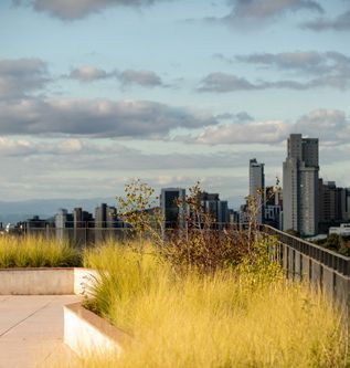 Fotografia da matéria: Espaço 356: Natureza, Cultura, Gastronomia, Design e Entretenimento