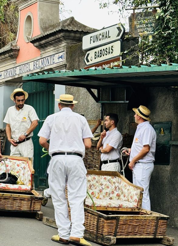 Fotografia da matéria: Ilha da Madeira
