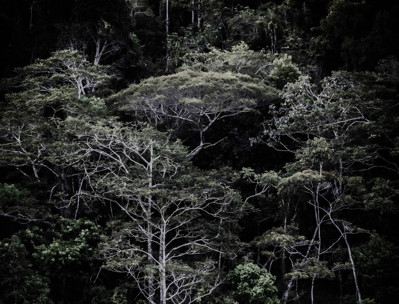 Fotografia da matéria: Luciana Rennó