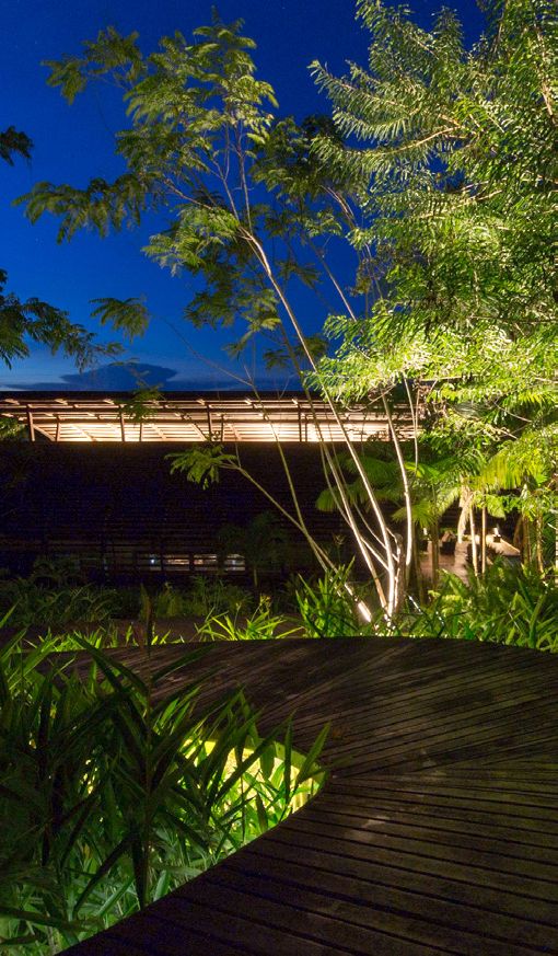 Fotografia da matéria: Luxo na Floresta