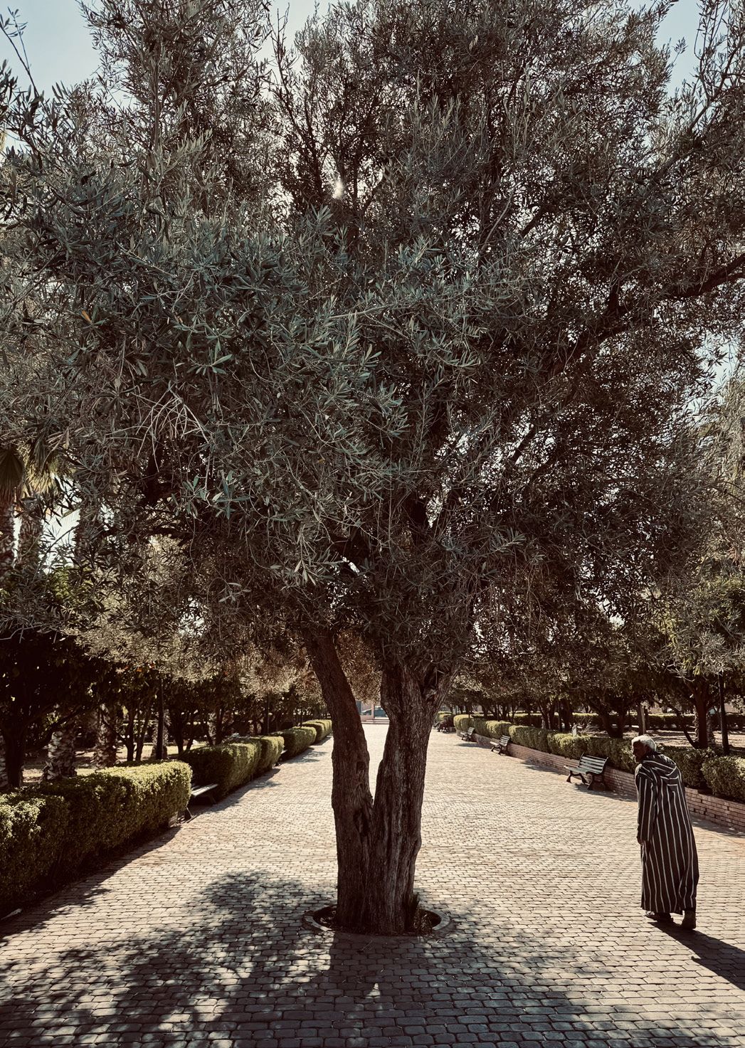 Fotografia da matéria: Marrakech