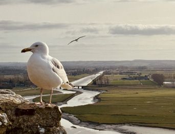 Fotografia da matéria: Mont-Saint-Michel