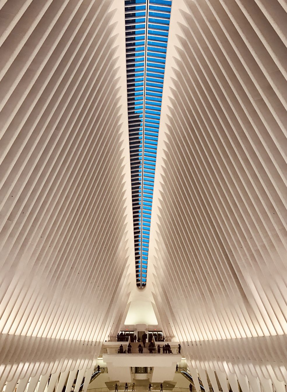 Fotografia da matéria: My NYC