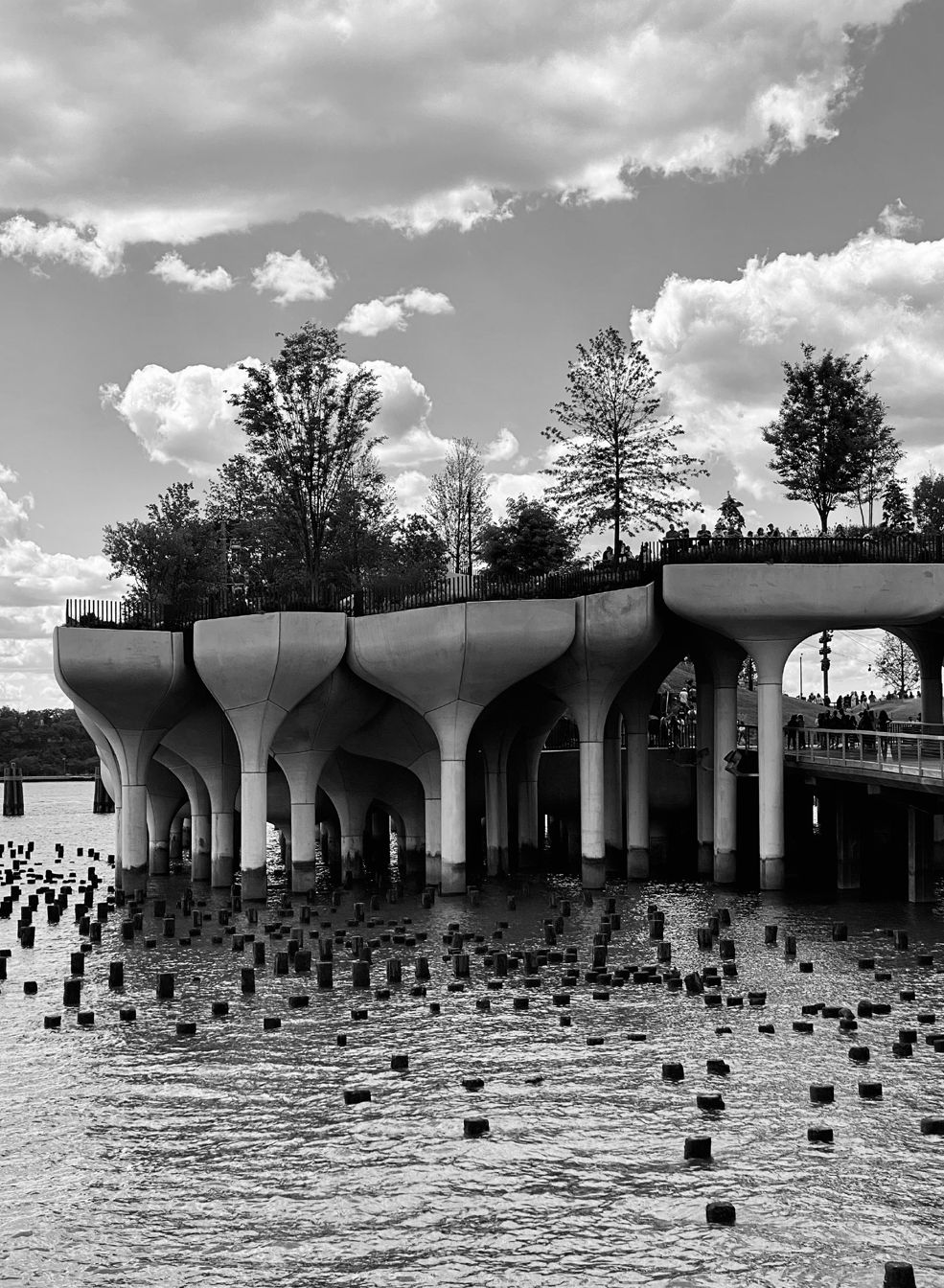 Fotografia da matéria: My NYC