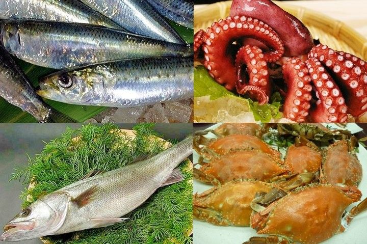Peixes, polvo e caranguejos associados à cozinha de Osaka