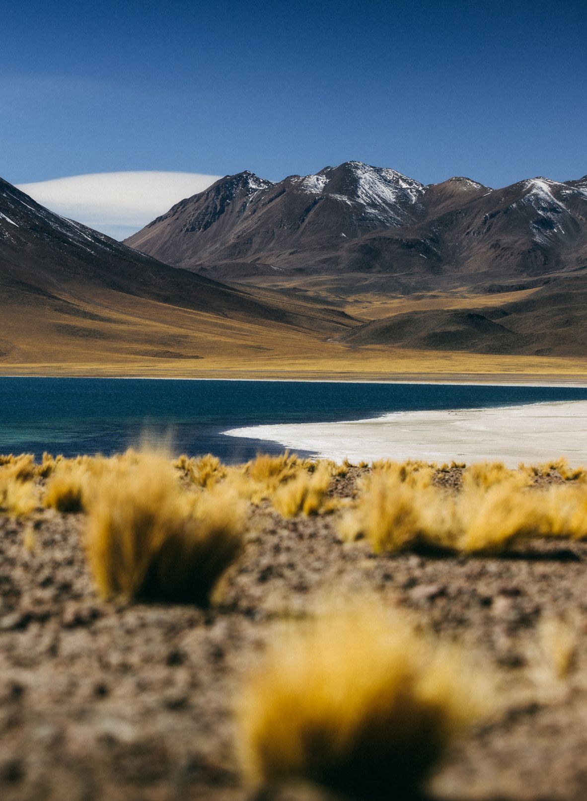 Fotografia da matéria: Our Habitas Atacama