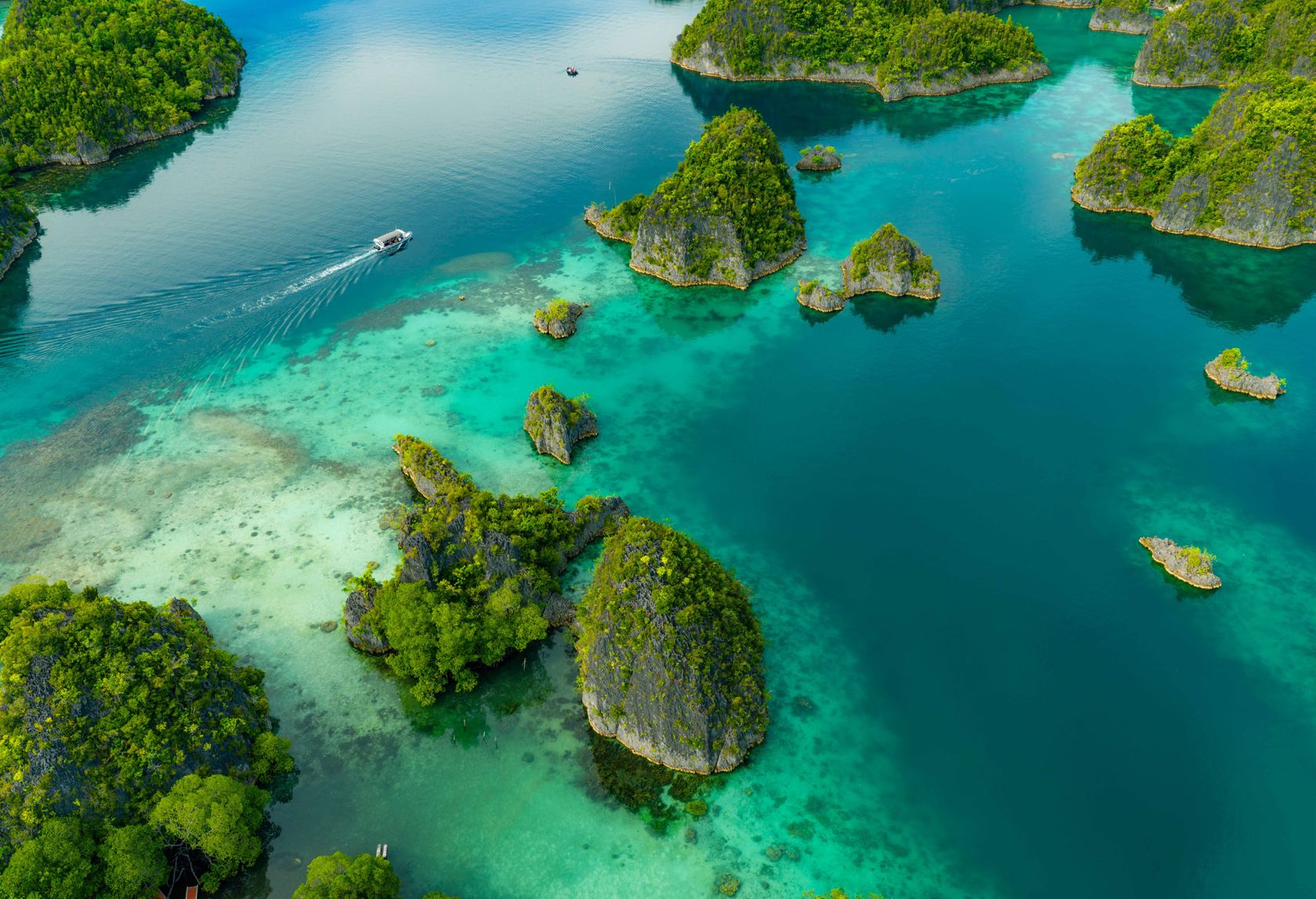 Raja Ampat, com Swan Hellenic