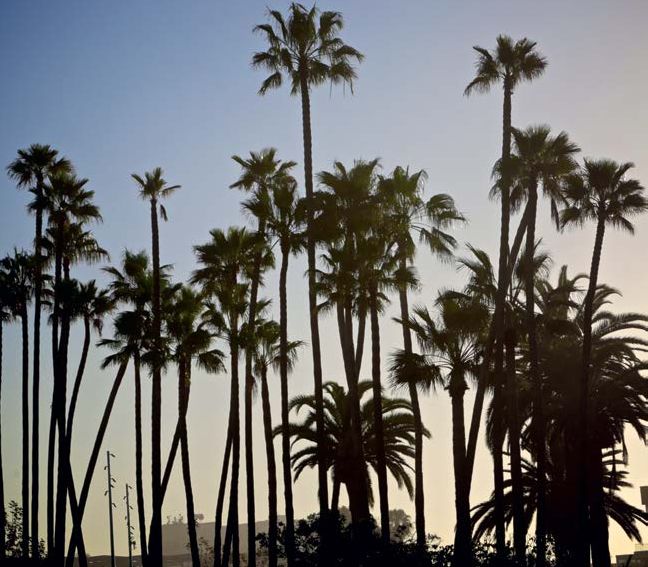 Fotografia da matéria: Santa Monica