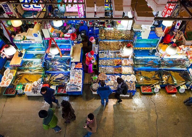 Vista interna do Noryangjin Fisheries Wholesale Market