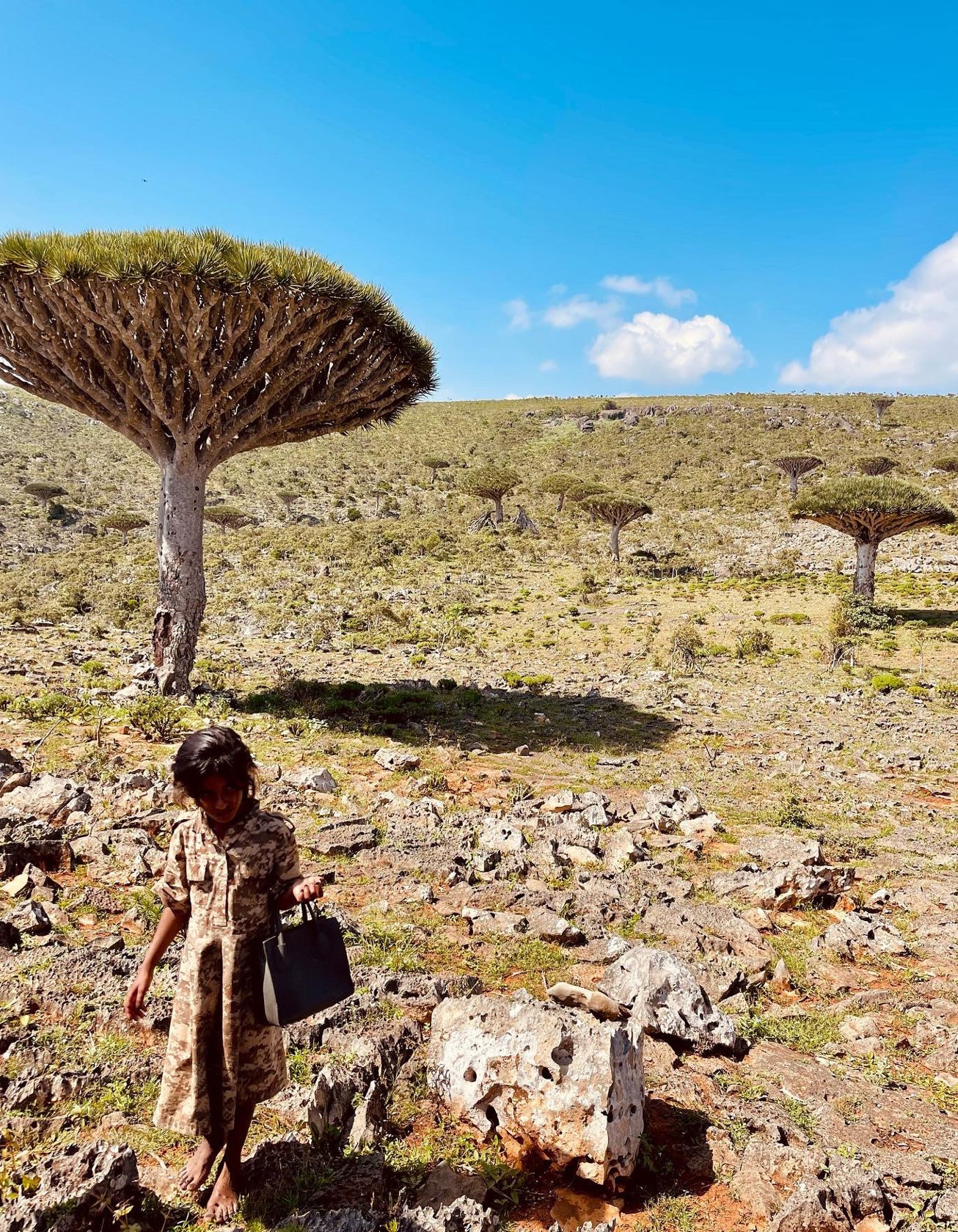 Fotografia da matéria: Um Paraíso Chamado Socotra