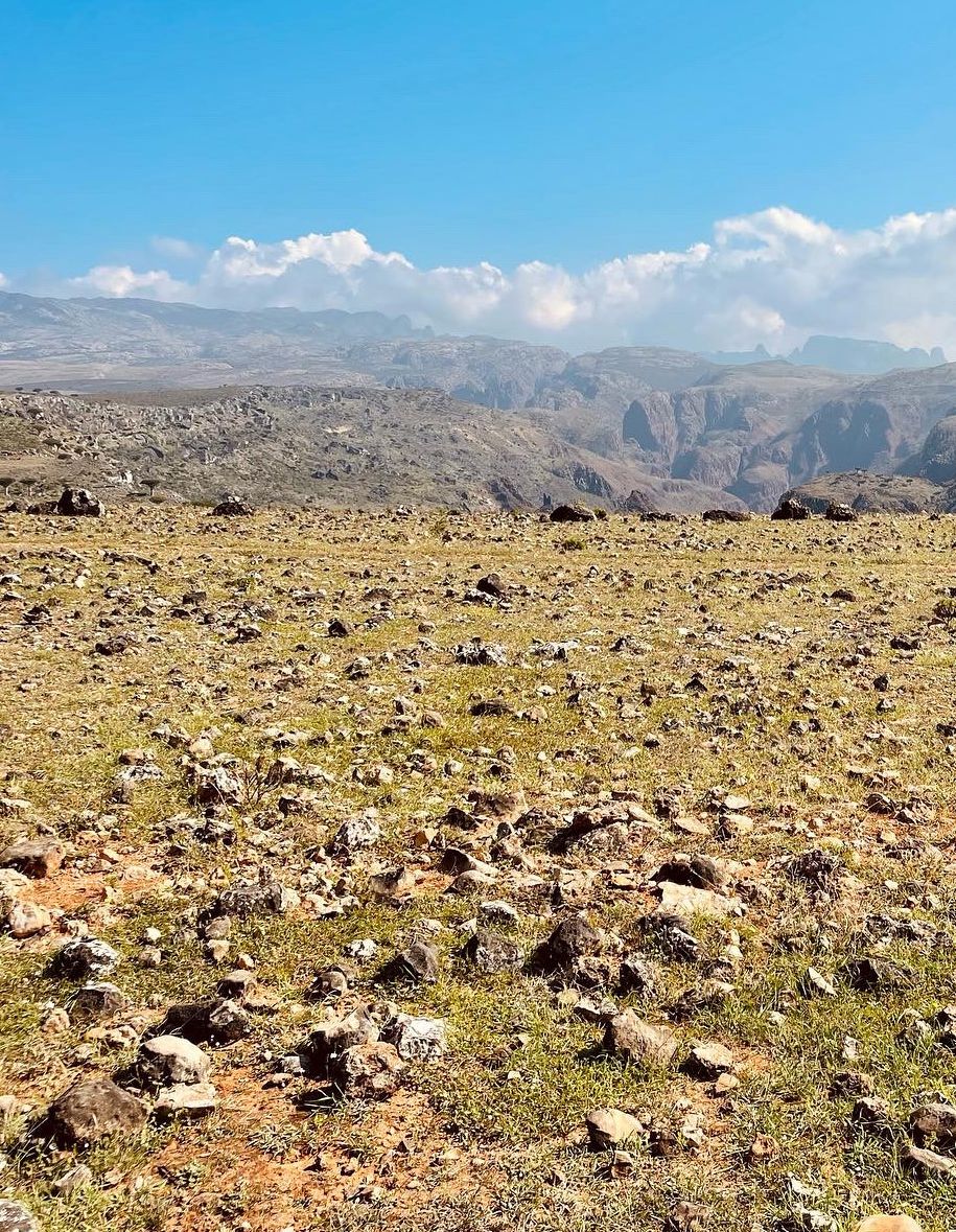 Fotografia da matéria: Um Paraíso Chamado Socotra