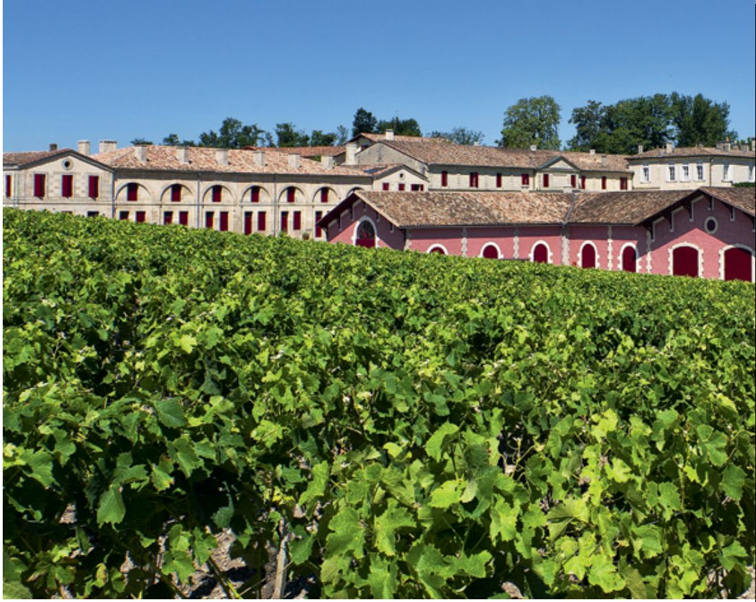 Fotografia da matéria: Vinhos da França para o Brasil