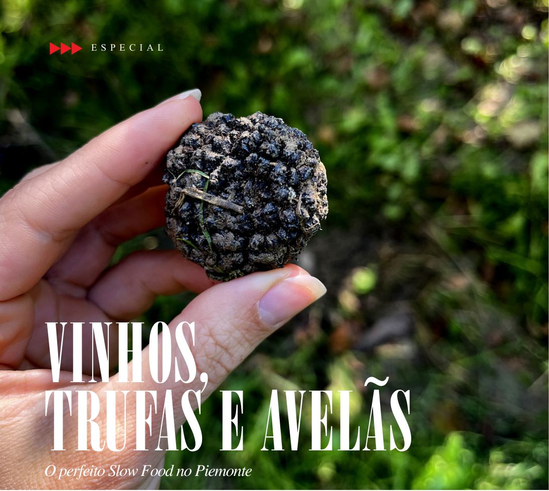 Fotografia da matéria: Vinhos, trufas e avelãs: Piemonte